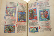Medical and Herbal Miscellany, London, British Library, MS Sloane 1975 − Photo 12