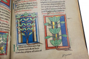 Medical and Herbal Miscellany, London, British Library, MS Sloane 1975 − Photo 15
