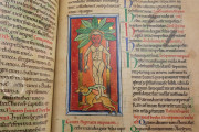 Medical and Herbal Miscellany, London, British Library, MS Sloane 1975 − Photo 17