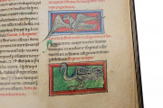 Medical and Herbal Miscellany, London, British Library, MS Sloane 1975 − Photo 21