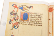Model Book of Stephan Schriber, Munich, Bayerische Staatsbibliothek, Cod. icon. 420 − Photo 13