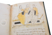 Ghino's Herbal, Florence, Biblioteca Medicea Laurenziana, Codice Redi 165 − Photo 11