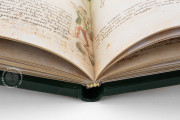 Ghino's Herbal, Florence, Biblioteca Medicea Laurenziana, Codice Redi 165 − Photo 15
