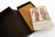 Darmstadt Mirror of Human Salvation, Darmstadt, Universitäts- und Landesbibliothek Darmstadt, MS 2505 − Photo 31