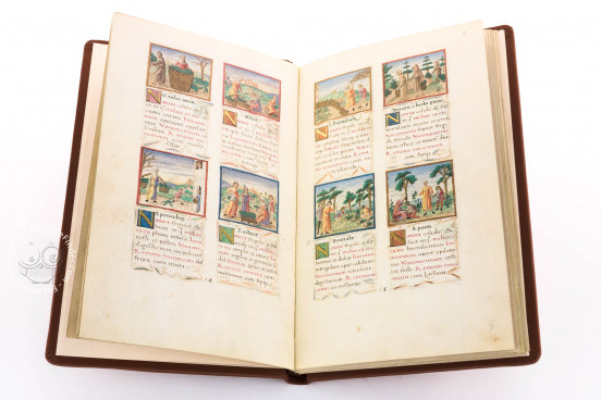Tacuinum Sanitatis, Vienna, Österreichische Nationalbibliothek, Codex Vindobonensis 2396 − Photo 1