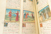 Tacuinum Sanitatis, Vienna, Österreichische Nationalbibliothek, Codex Vindobonensis 2396 − Photo 3