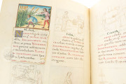 Tacuinum Sanitatis, Vienna, Österreichische Nationalbibliothek, Codex Vindobonensis 2396 − Photo 7