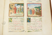 Tacuinum Sanitatis, Vienna, Österreichische Nationalbibliothek, Codex Vindobonensis 2396 − Photo 8