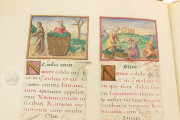 Tacuinum Sanitatis, Vienna, Österreichische Nationalbibliothek, Codex Vindobonensis 2396 − Photo 10