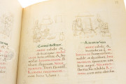 Tacuinum Sanitatis, Vienna, Österreichische Nationalbibliothek, Codex Vindobonensis 2396 − Photo 12
