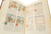 Tacuinum Sanitatis, Vienna, Österreichische Nationalbibliothek, Codex Vindobonensis 2396 − Photo 13