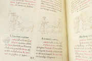 Tacuinum Sanitatis, Vienna, Österreichische Nationalbibliothek, Codex Vindobonensis 2396 − Photo 15