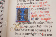 Gospel Lectionary of Würzburg, Florence, Biblioteca Medicea Laurenziana, MS Acq. e Doni 156 − Photo 14