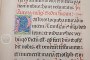 Gospel Lectionary of Würzburg, Florence, Biblioteca Medicea Laurenziana, MS Acq. e Doni 156 − Photo 17
