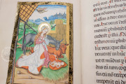 Gospel Lectionary of Würzburg, Florence, Biblioteca Medicea Laurenziana, MS Acq. e Doni 156 − Photo 21