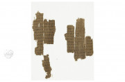 Chester Beatty Papyri, Dublin, Chester Beatty Library, P45, P46, P47
Ann Arbor, University of Michigan
Vienna, Österreichische Nationalbibliothek, Pap. graec. Vindob. 31974 − Photo 3