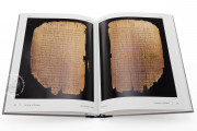 Chester Beatty Papyri, Dublin, Chester Beatty Library, P45, P46, P47
Ann Arbor, University of Michigan
Vienna, Österreichische Nationalbibliothek, Pap. graec. Vindob. 31974 − Photo 10