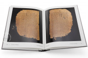 Chester Beatty Papyri, Dublin, Chester Beatty Library, P45, P46, P47
Ann Arbor, University of Michigan
Vienna, Österreichische Nationalbibliothek, Pap. graec. Vindob. 31974 − Photo 11