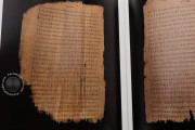 Chester Beatty Papyri, Dublin, Chester Beatty Library, P45, P46, P47
Ann Arbor, University of Michigan
Vienna, Österreichische Nationalbibliothek, Pap. graec. Vindob. 31974 − Photo 12