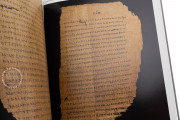 Chester Beatty Papyri, Dublin, Chester Beatty Library, P45, P46, P47
Ann Arbor, University of Michigan
Vienna, Österreichische Nationalbibliothek, Pap. graec. Vindob. 31974 − Photo 13