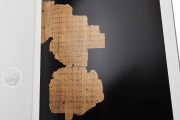 Chester Beatty Papyri, Dublin, Chester Beatty Library, P45, P46, P47
Ann Arbor, University of Michigan
Vienna, Österreichische Nationalbibliothek, Pap. graec. Vindob. 31974 − Photo 14