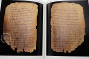 Chester Beatty Papyri, Dublin, Chester Beatty Library, P45, P46, P47
Ann Arbor, University of Michigan
Vienna, Österreichische Nationalbibliothek, Pap. graec. Vindob. 31974 − Photo 15