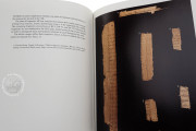 Chester Beatty Papyri, Dublin, Chester Beatty Library, P45, P46, P47
Ann Arbor, University of Michigan
Vienna, Österreichische Nationalbibliothek, Pap. graec. Vindob. 31974 − Photo 18