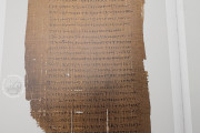 Chester Beatty Papyri, Dublin, Chester Beatty Library, P45, P46, P47
Ann Arbor, University of Michigan
Vienna, Österreichische Nationalbibliothek, Pap. graec. Vindob. 31974 − Photo 21