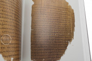 Chester Beatty Papyri, Dublin, Chester Beatty Library, P45, P46, P47
Ann Arbor, University of Michigan
Vienna, Österreichische Nationalbibliothek, Pap. graec. Vindob. 31974 − Photo 22