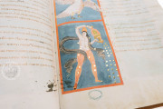Boulogne Aratea, Boulogne-sur-Mer, Bibliothèque municipale des Annonciades, MS 188 − Photo 22