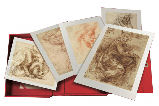 Drawings by Michelangelo in the Ashmolean (Collection, Oxford, Ashmolean Museum − Photo 1