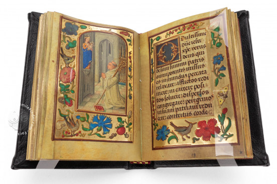 HM Prayer Book, Baltimore, Walters Art Museum, MS W.425 − Photo 1