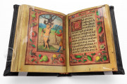 HM Prayer Book, Baltimore, Walters Art Museum, MS W.425 − Photo 6