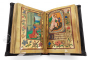 HM Prayer Book, Baltimore, Walters Art Museum, MS W.425 − Photo 9