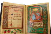 HM Prayer Book, Baltimore, Walters Art Museum, MS W.425 − Photo 12