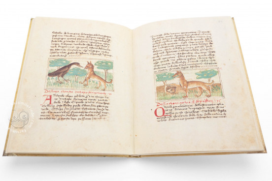 Udine Aesop, Udine, Biblioteca Arcivescovile e Bartoliniana, Cod. Bartolini 83 (olim 34) − Photo 1