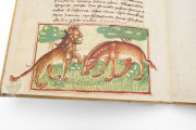 Udine Aesop, Udine, Biblioteca Arcivescovile e Bartoliniana, Cod. Bartolini 83 (olim 34) − Photo 4