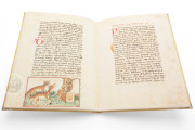 Udine Aesop, Udine, Biblioteca Arcivescovile e Bartoliniana, Cod. Bartolini 83 (olim 34) − Photo 6