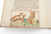 Udine Aesop, Udine, Biblioteca Arcivescovile e Bartoliniana, Cod. Bartolini 83 (olim 34) − Photo 8