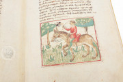 Udine Aesop, Udine, Biblioteca Arcivescovile e Bartoliniana, Cod. Bartolini 83 (olim 34) − Photo 9