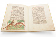 Udine Aesop, Udine, Biblioteca Arcivescovile e Bartoliniana, Cod. Bartolini 83 (olim 34) − Photo 10