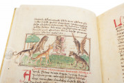Udine Aesop, Udine, Biblioteca Arcivescovile e Bartoliniana, Cod. Bartolini 83 (olim 34) − Photo 11