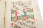 Udine Aesop, Udine, Biblioteca Arcivescovile e Bartoliniana, Cod. Bartolini 83 (olim 34) − Photo 12
