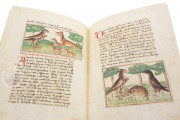 Udine Aesop, Udine, Biblioteca Arcivescovile e Bartoliniana, Cod. Bartolini 83 (olim 34) − Photo 14
