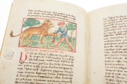 Udine Aesop, Udine, Biblioteca Arcivescovile e Bartoliniana, Cod. Bartolini 83 (olim 34) − Photo 17