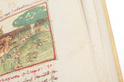 Udine Aesop, Udine, Biblioteca Arcivescovile e Bartoliniana, Cod. Bartolini 83 (olim 34) − Photo 21