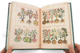 Badianus Manuscript Facsimile Edition