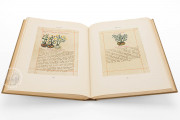 Badianus Manuscript, Vatican City, Biblioteca Apostolica Vaticana, MS Barb. lat. 241 − Photo 5