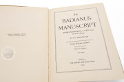 Badianus Manuscript, Vatican City, Biblioteca Apostolica Vaticana, MS Barb. lat. 241 − Photo 15