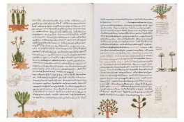 Salamanca Dioscorides Facsimile Edition